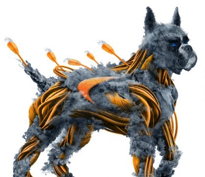 Firewalls